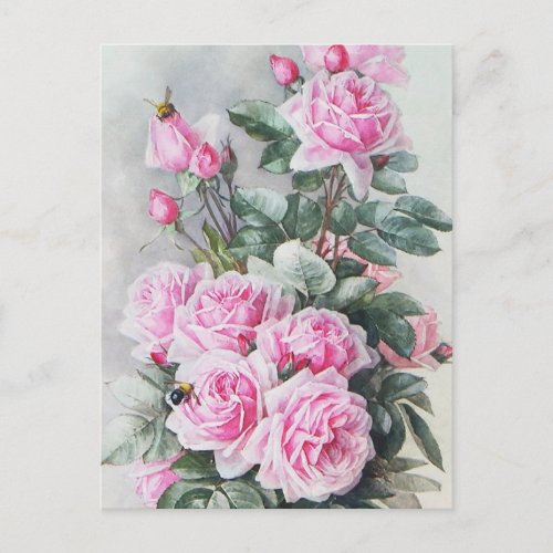 Vintage Pink Roses Bouquet Postcard