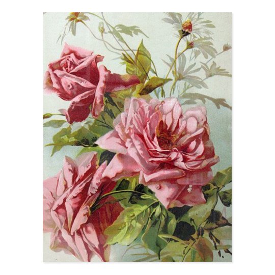 Vintage Pink Roses Bouquet Postcard