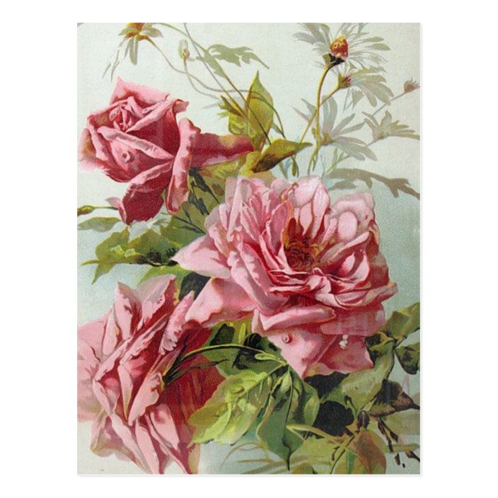 Vintage Pink Roses Bouquet Postcard | Zazzle.com
