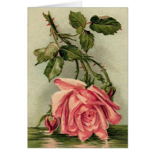 Vintage Pink Roses Cards (Front)
