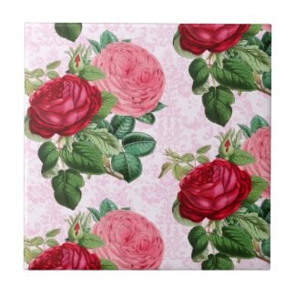 Vintage Pink Roses on Damask Decorative 