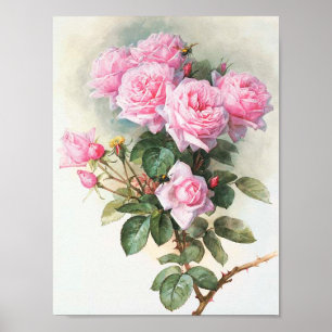 Vintage Pink Roses Painting Poster