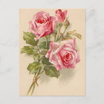 Vintage Pink Roses Postcard by VintageFloralPrints at Zazzle