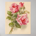 Vintage Pink Roses Poster at Zazzle