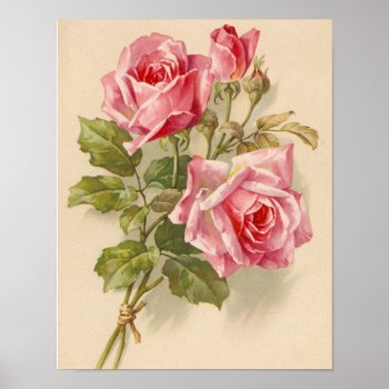 Vintage Pink Roses Poster by VintageFloralPrints at Zazzle