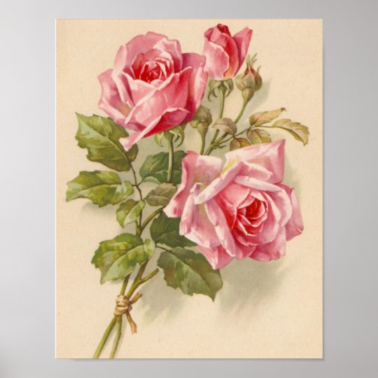 Vintage Pink Roses Poster | Zazzle.com