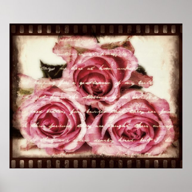 Vintage Pink Roses Poster (Front)