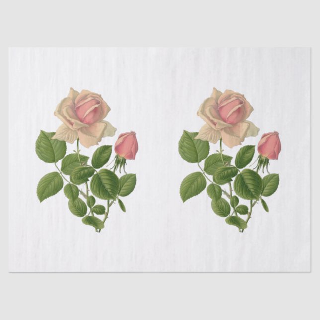 Vintage Pink Tea Roses Flowers Tissue Paper (Front)