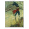 Vintage Pirate, The Flying Dutchman by Howard Pyle