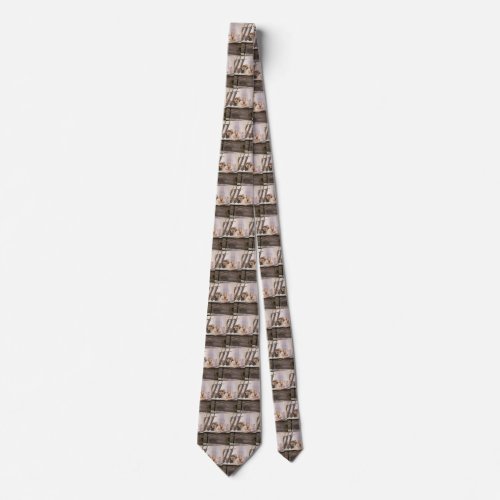 Vintage Pirates Brig Covenant in a Fog by NC Wyeth Neck Tie