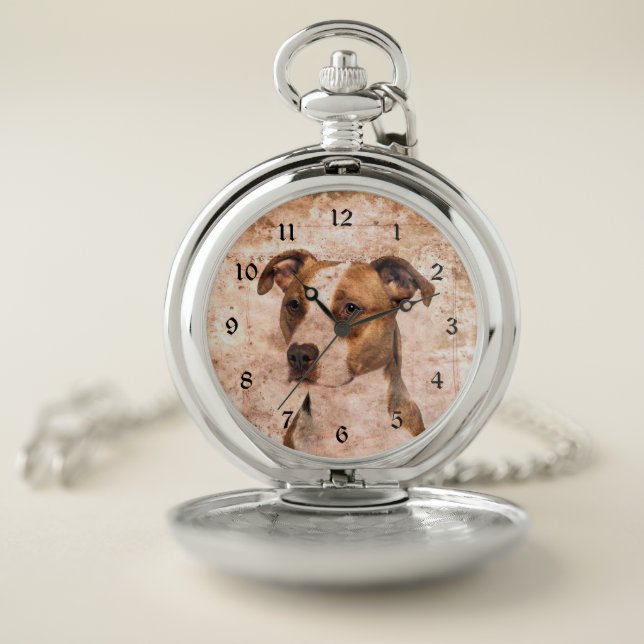 Vintage Pitbull Pocket Watch (Inside)