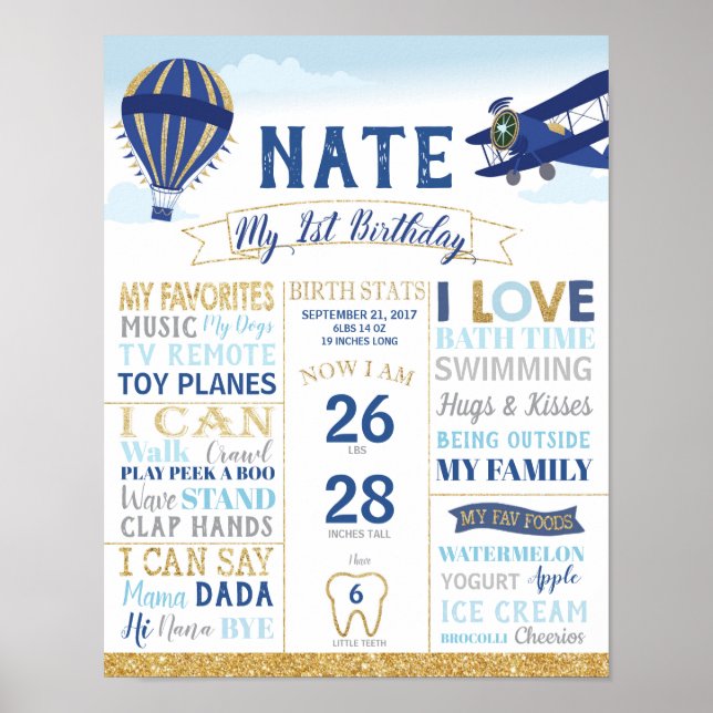 Vintage Plane 1st Birthday Milestones Sign Poster (Front)