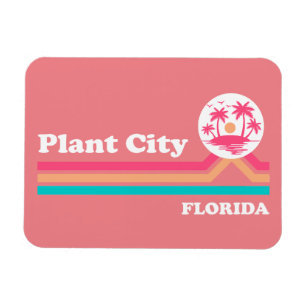 Vintage Plant City Florida Magnet
