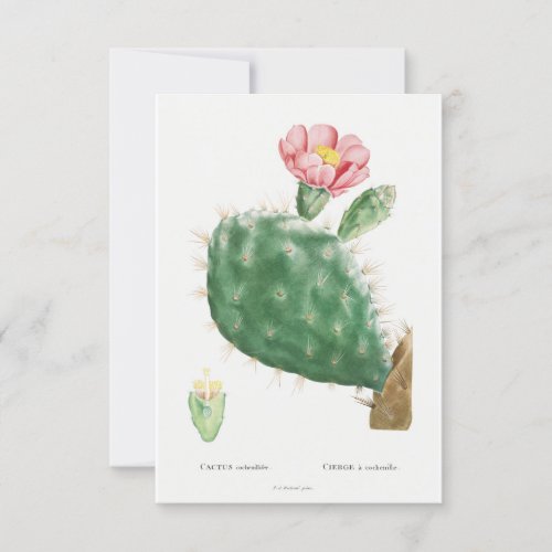 Vintage plant illustration card