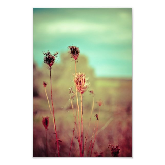 Vintage plants photo print (Front)