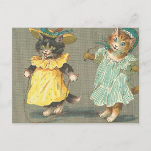 vintage playful kittens postcard