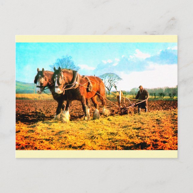 Vintage ploughing farming postcard (Front)