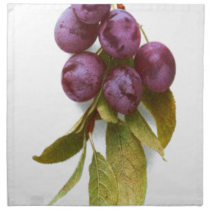 Vintage Plum Botanical Print Cloth Napkin