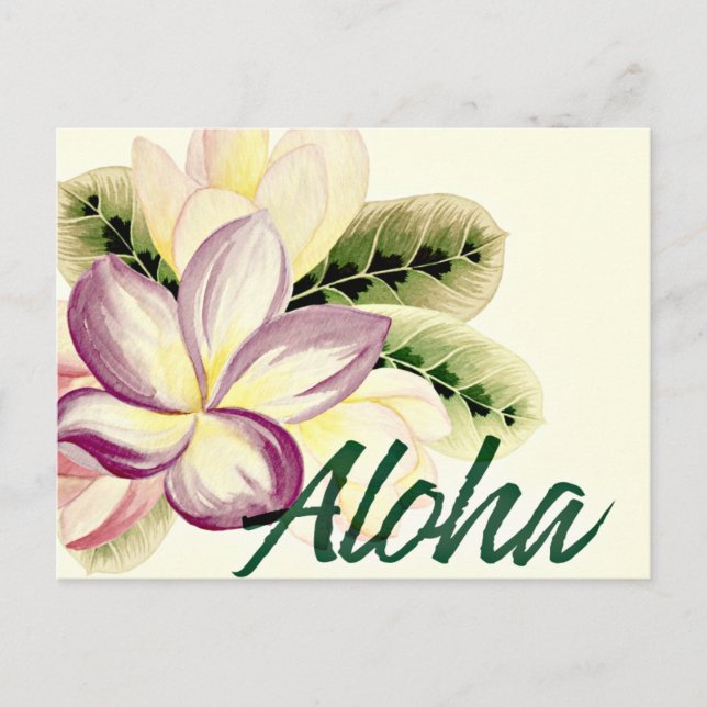 Vintage Plumeria Aloha Postcard (Front)