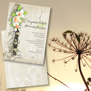 Vintage Plumeria And Ivy Custom Beige Wedding Invitation by weddings_ at Zazzle