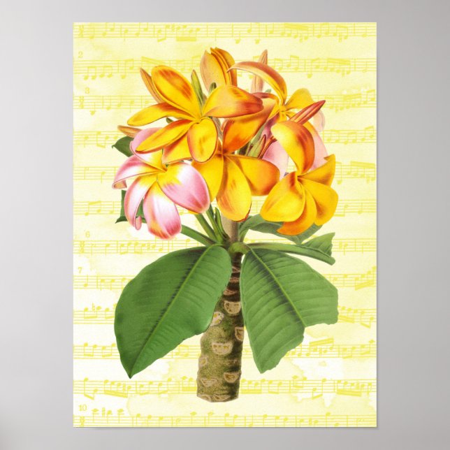 Vintage Plumeria on Music Poster (Front)