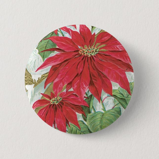 Vintage Poinsettia illustration. Pinback Button (Front)