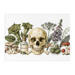 Vintage Poison Garden Skull Botanical Illustration Acrylic Print