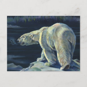 Vintage Polar Bear, Arctic Marine Life Animals Postcard