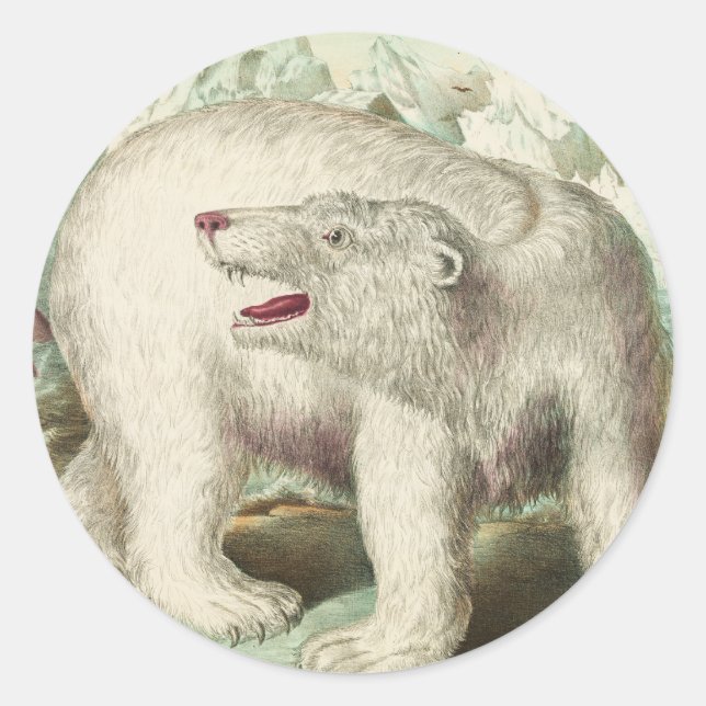 Vintage Polar Bear Art Classic Round Sticker (Front)