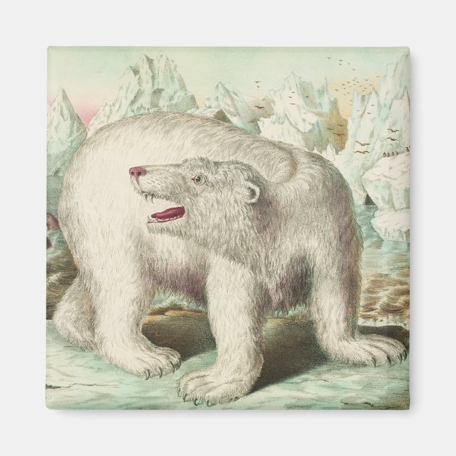 Vintage Polar Bear Art Magnet (Front)