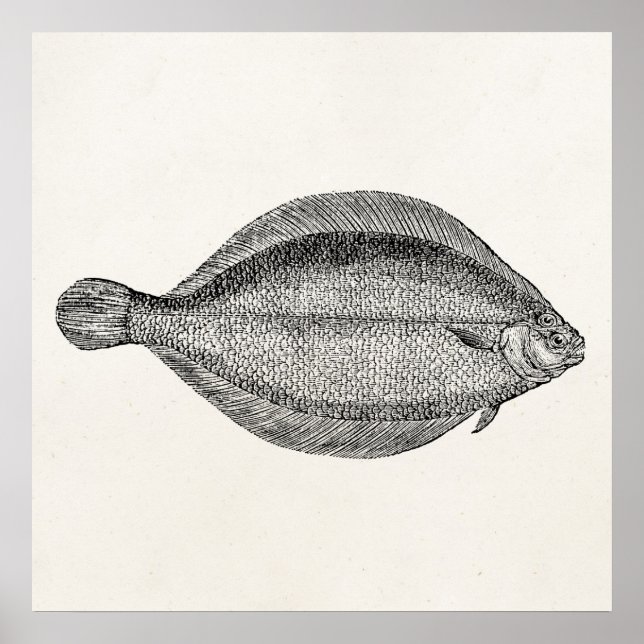Vintage Pole Flounder Fish Personalized Template Poster (Front)