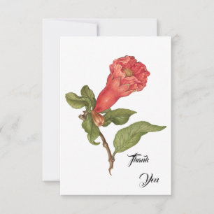 Vintage pomegranate flower blooming illustration thank you card