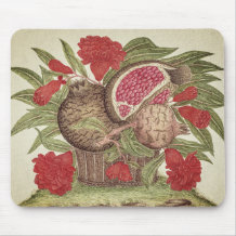 Vintage Pomegranate Flowers and Fruits