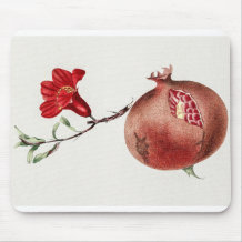 Vintage pomegranate