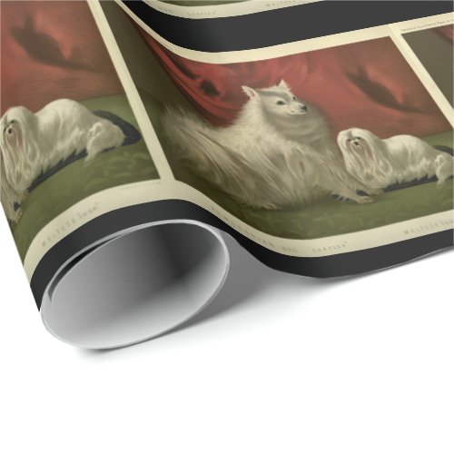 Vintage pomeranian and maltese dogs wrapping paper