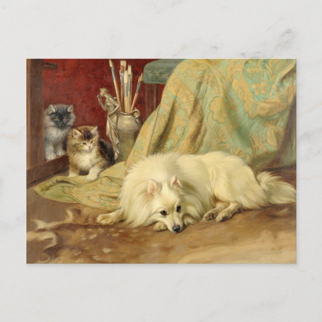 Vintage Pomeranian Dog Kittens Wright Barker Postcard (Front)