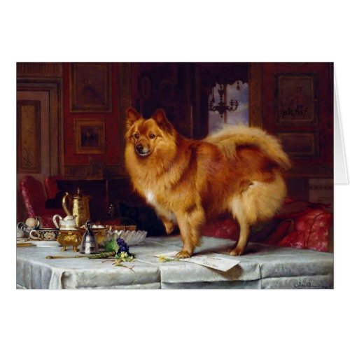 Vintage _ Pomeranian Dog  the Breakfast Table