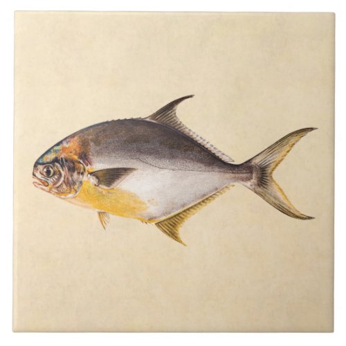 Vintage Pompano Fish_ Game Fishes Template Blank Ceramic Tile