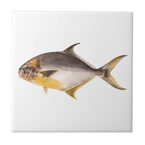 Vintage Pompano Fish_ Game Fishes Template Blank Tile