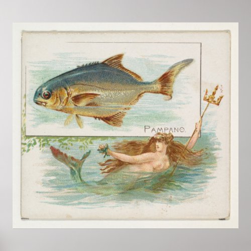Vintage Pompano Fish Illustration Poster