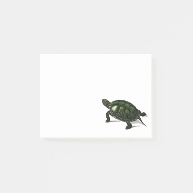 Vintage pond turtle post-it notes (Front)