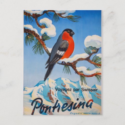 Vintage Pontresina Vacation Swiss Air Switzerland Postcard