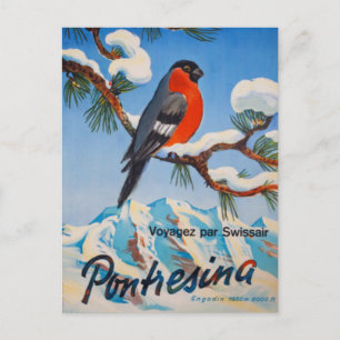 Vintage Pontresina Vacation Swiss Air Switzerland Postcard