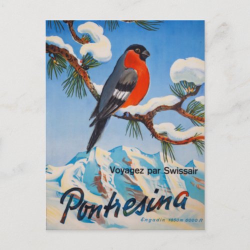 Vintage Pontresina Vacation Swiss Air Switzerland Postcard