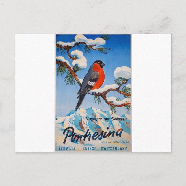 Vintage Pontresina Vacation Swiss Air Switzerland Postcard (Front)