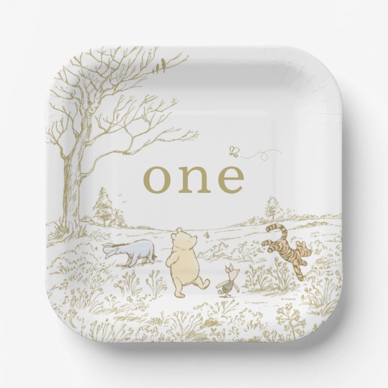 Vintage Pooh 100 Acre Wood 1st Birthday  Paper Plates