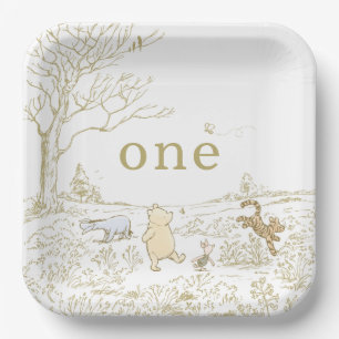 Vintage Pooh 100 Acre Wood 1st Birthday Paper Plates