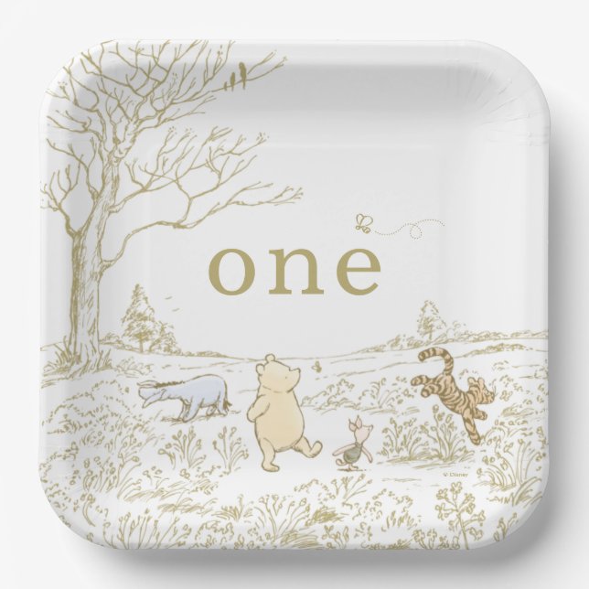Vintage Pooh 100 Acre Wood 1st Birthday  Paper Plates (Front)