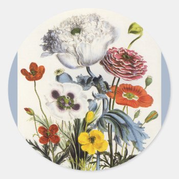 Vintage Poppies In The Garden  Victorian Flowers Classic Round Sticker by Tchotchke at Zazzle