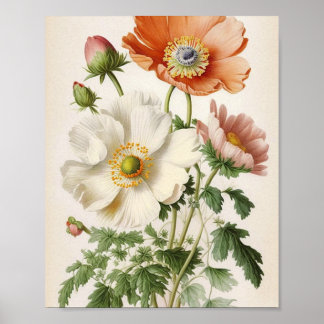 Vintage Poppies Poster